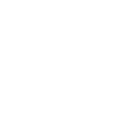 PDF Icon